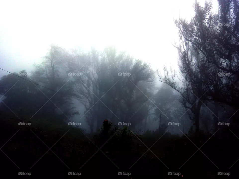 weather
