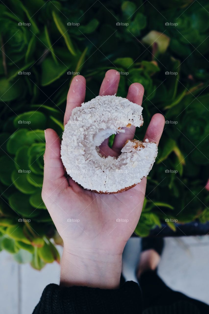 Hand holding coconut donut