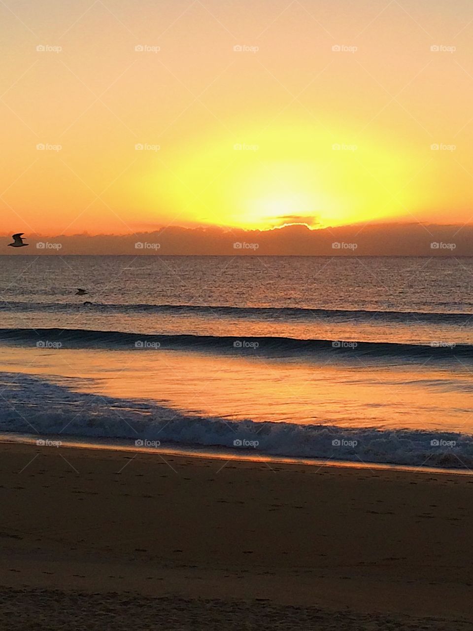 Orange beach sunrise over the ocean 