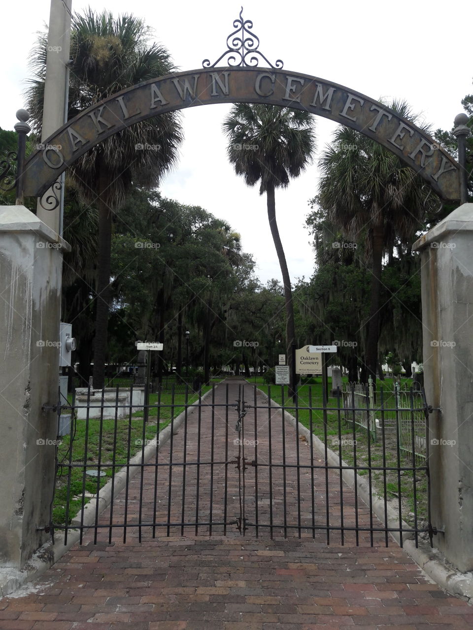 oaklawn cemetery in downtown Tampa