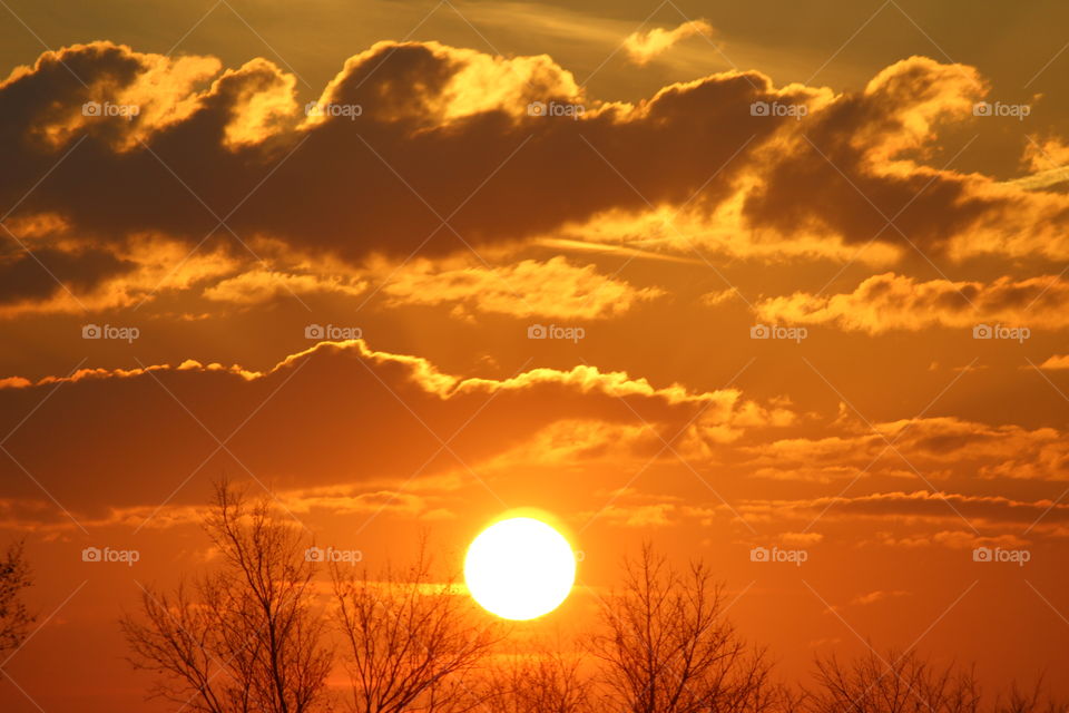 Good morning Sunshine