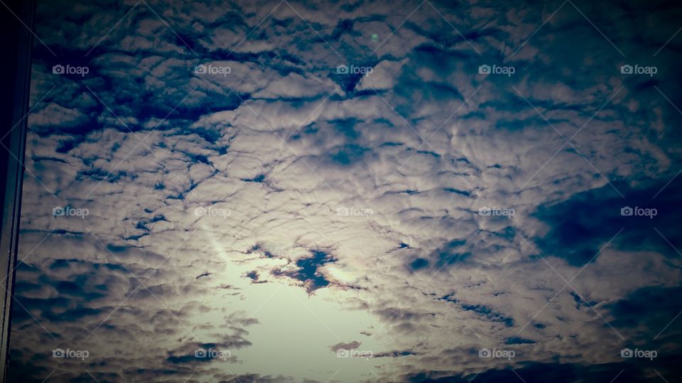 sunlight bursts through