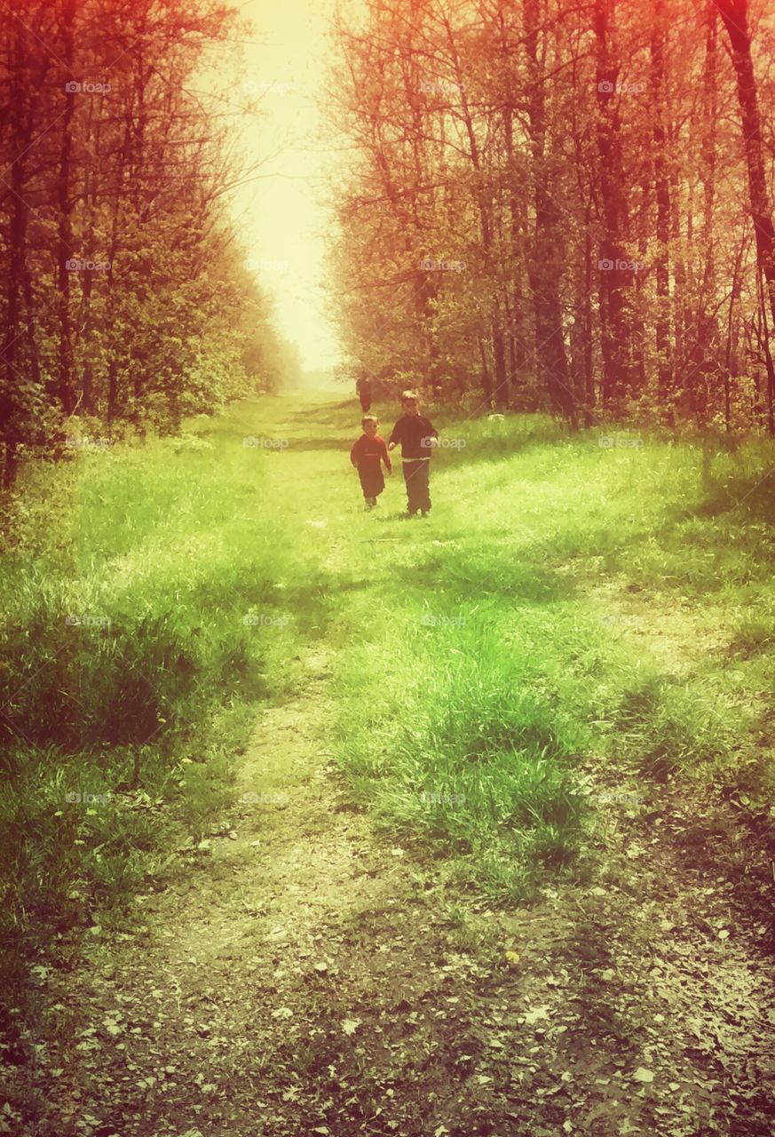 The Right Path. Morel mushroom hunting with my boys.