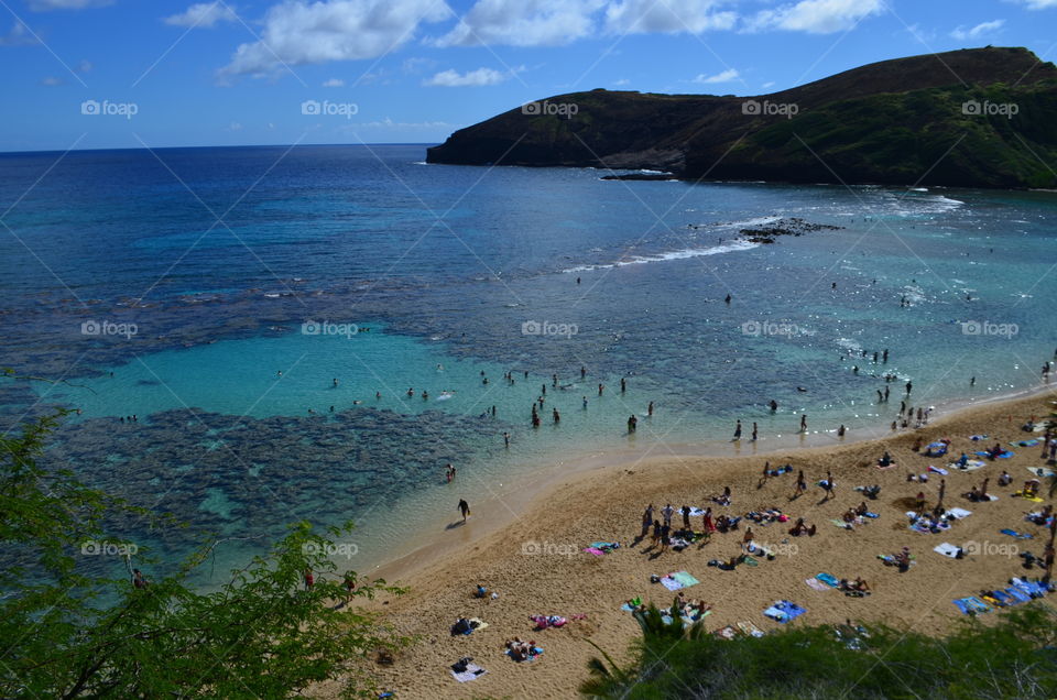 Cliff view of beautiful Beach ocean with a reef for snorkeling Hanauma Bay Oahu