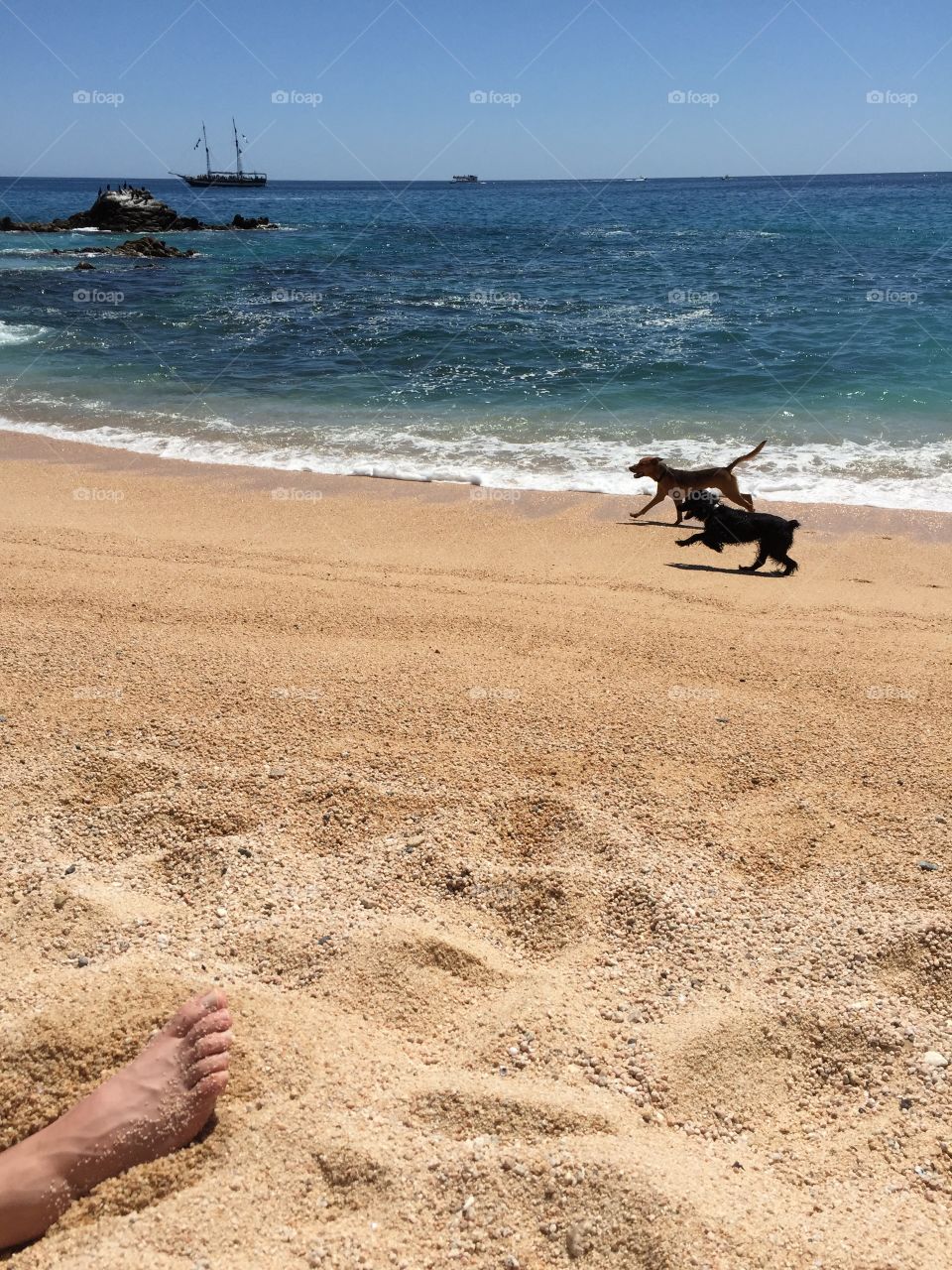 Cabo San Lucas 