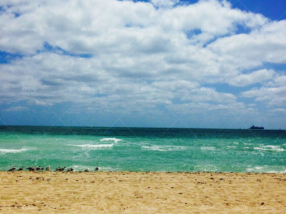 Beach. Miami beach