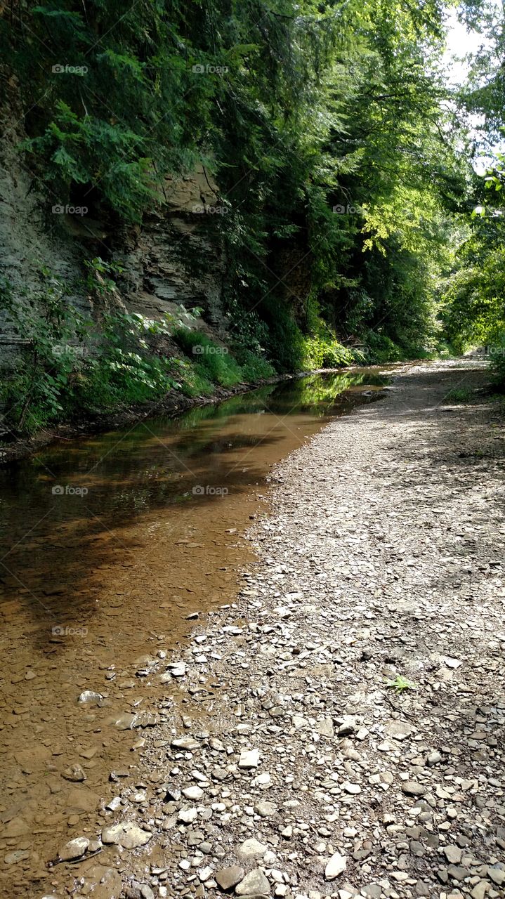 No Person, Nature, Landscape, Wood, Road