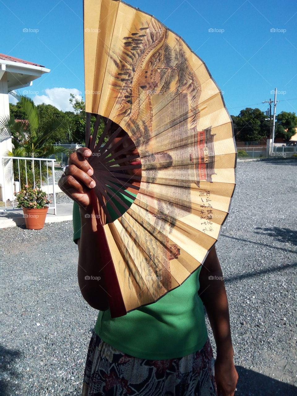 Japanese  fan