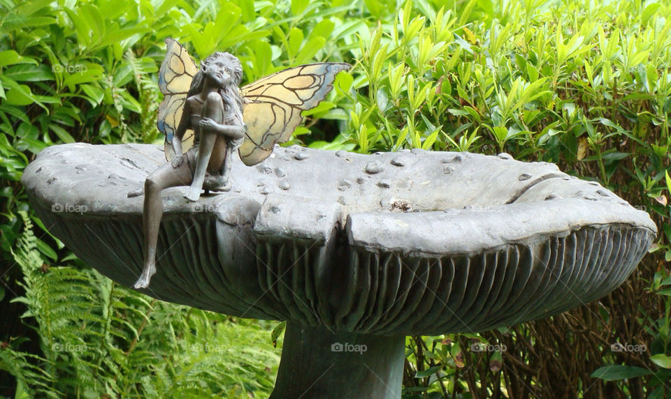 Fairy on a toadstool
