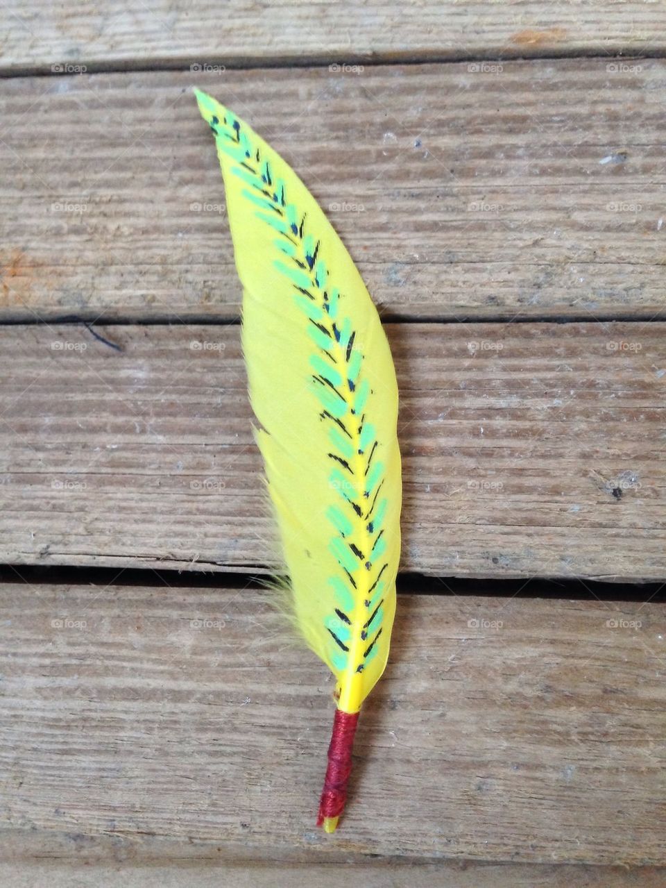 Yellow bohemian feather.
