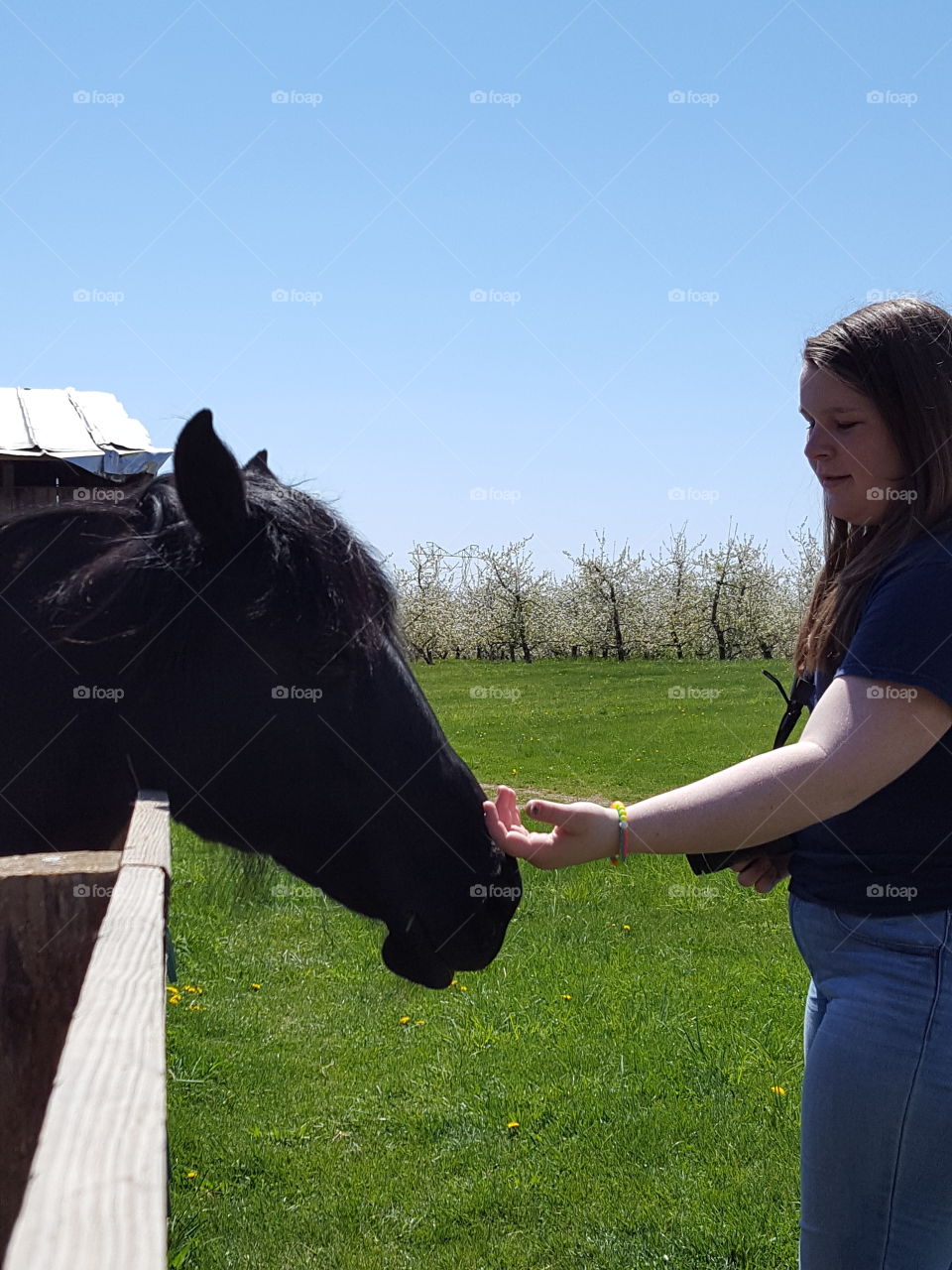 Woman standing near horse