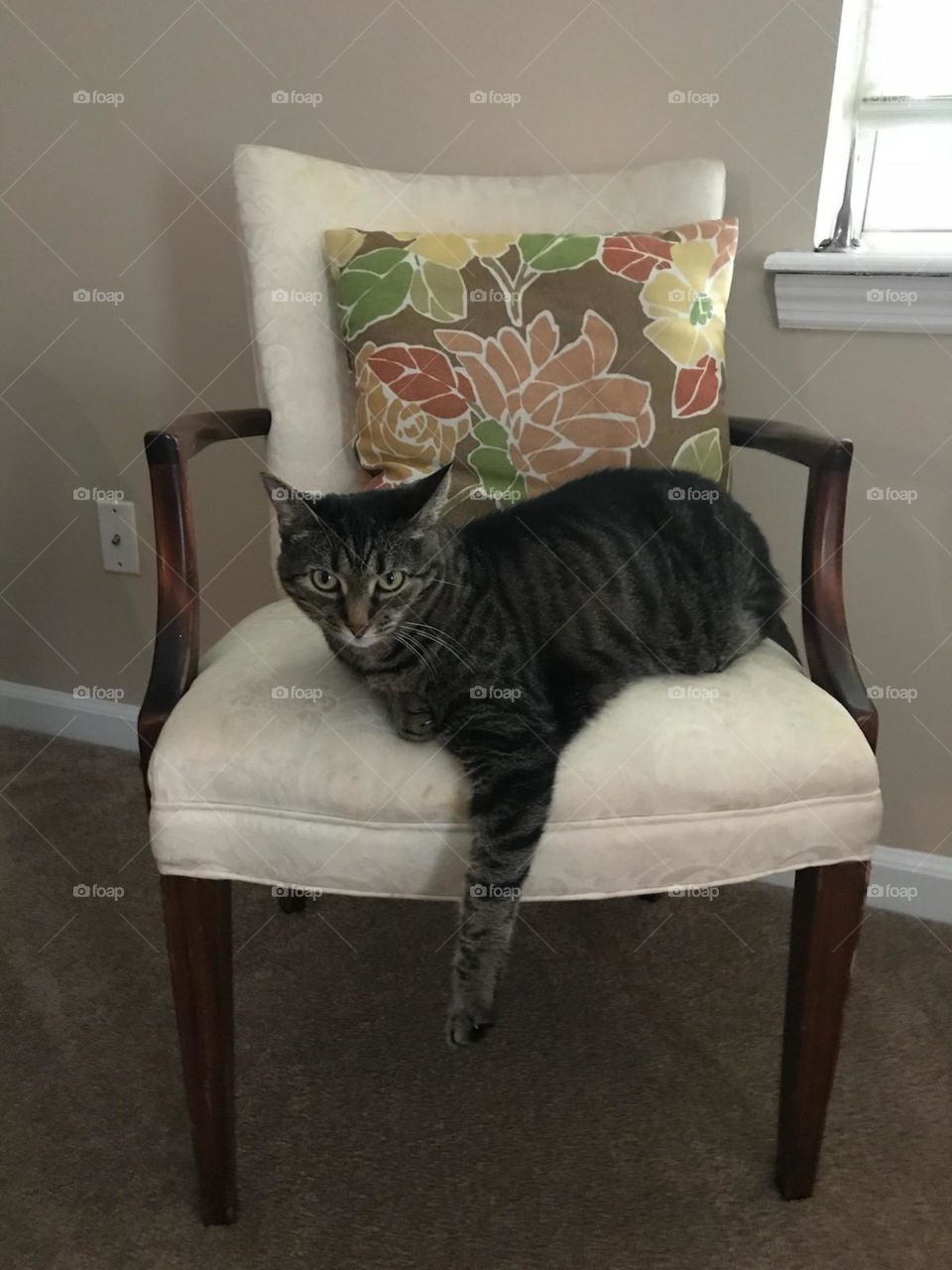 My Chair