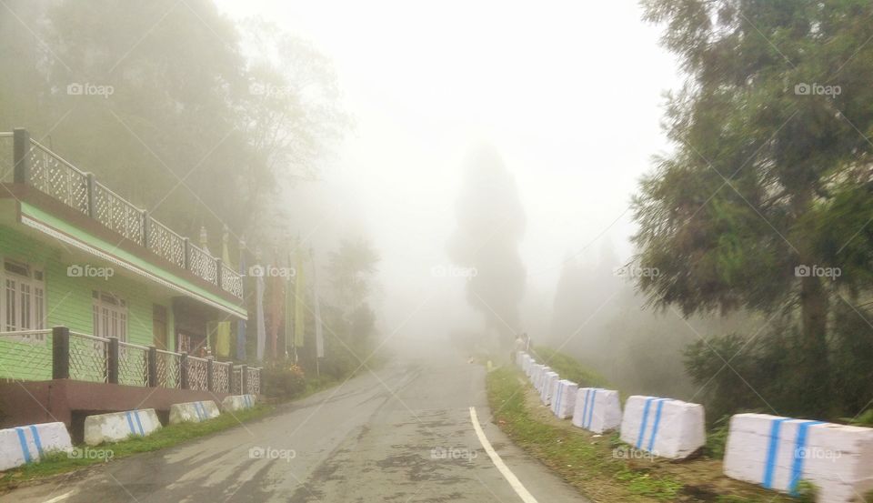 Mirik to Darjeeling. Road disappearing in clouds. Mesmerizing experience.