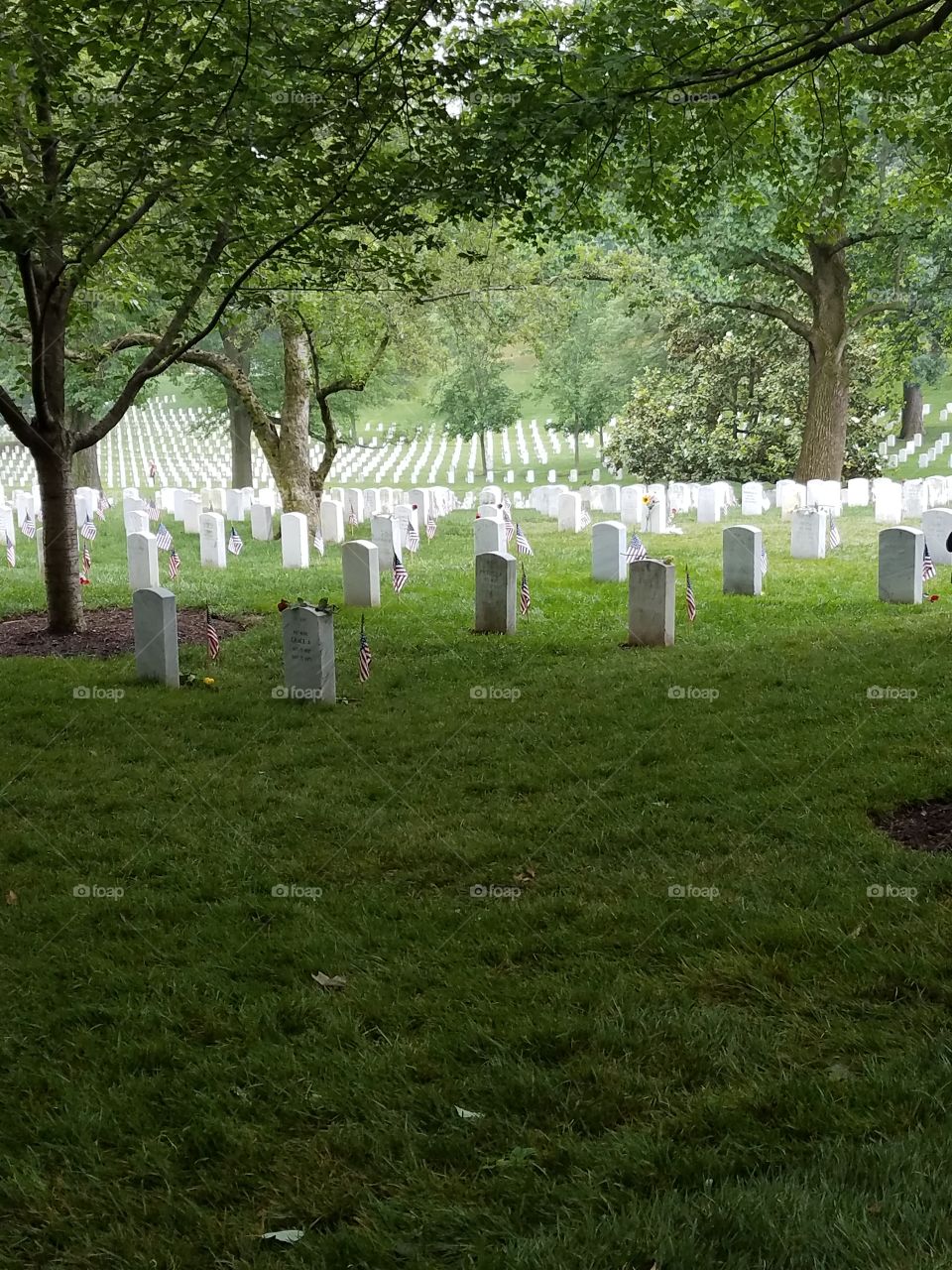 Arlington national cemetery in Washington D.C.