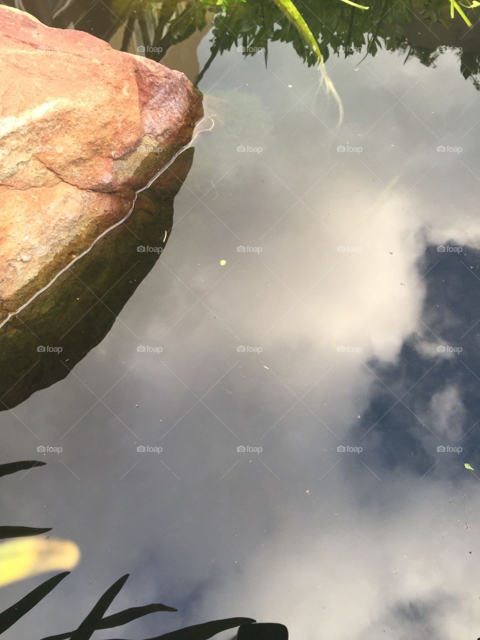 Pond + sky