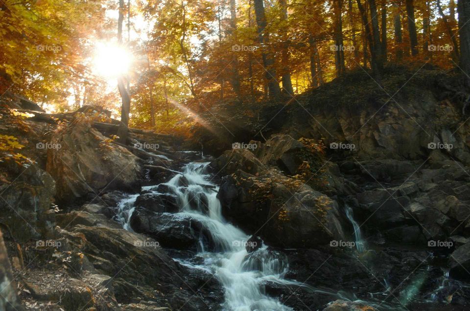 at the waterfall