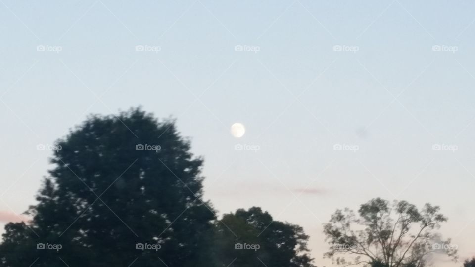 Moon at Dusk