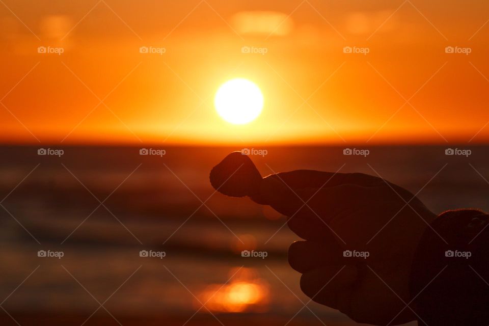 Silhouette of a hand holding a shell into the sunset by the beach.