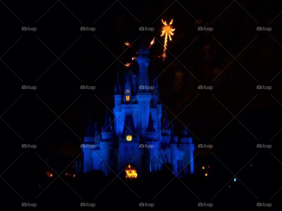 Cinderella Castle