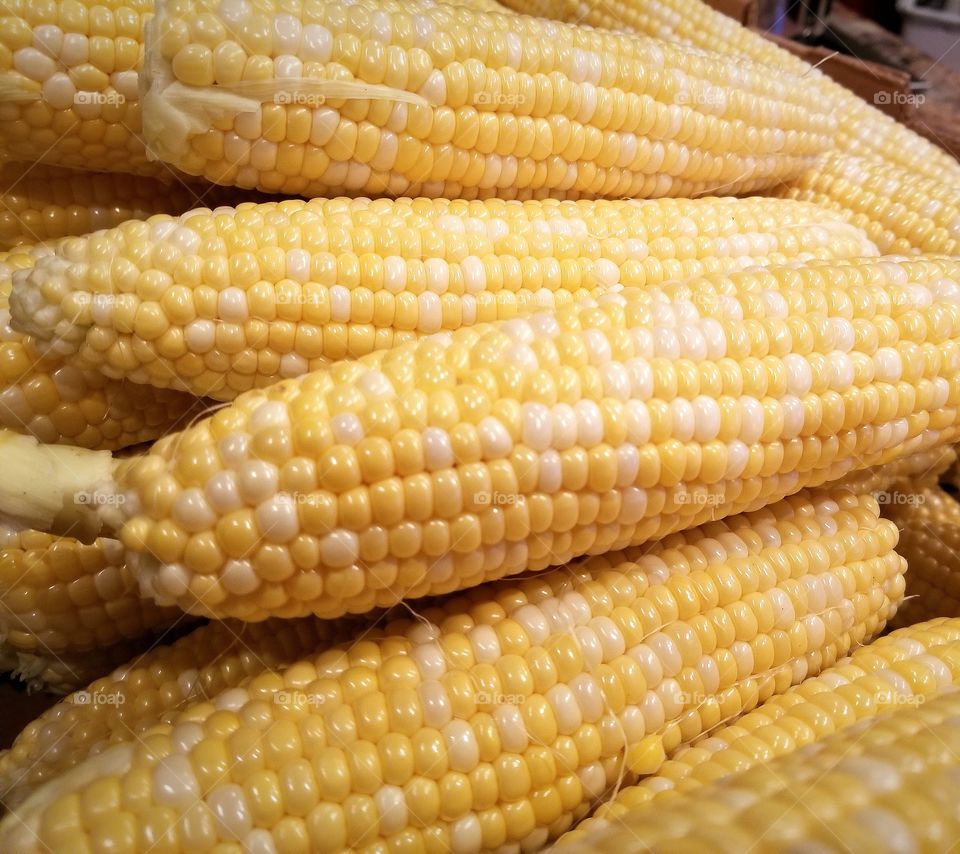 Summer Corn