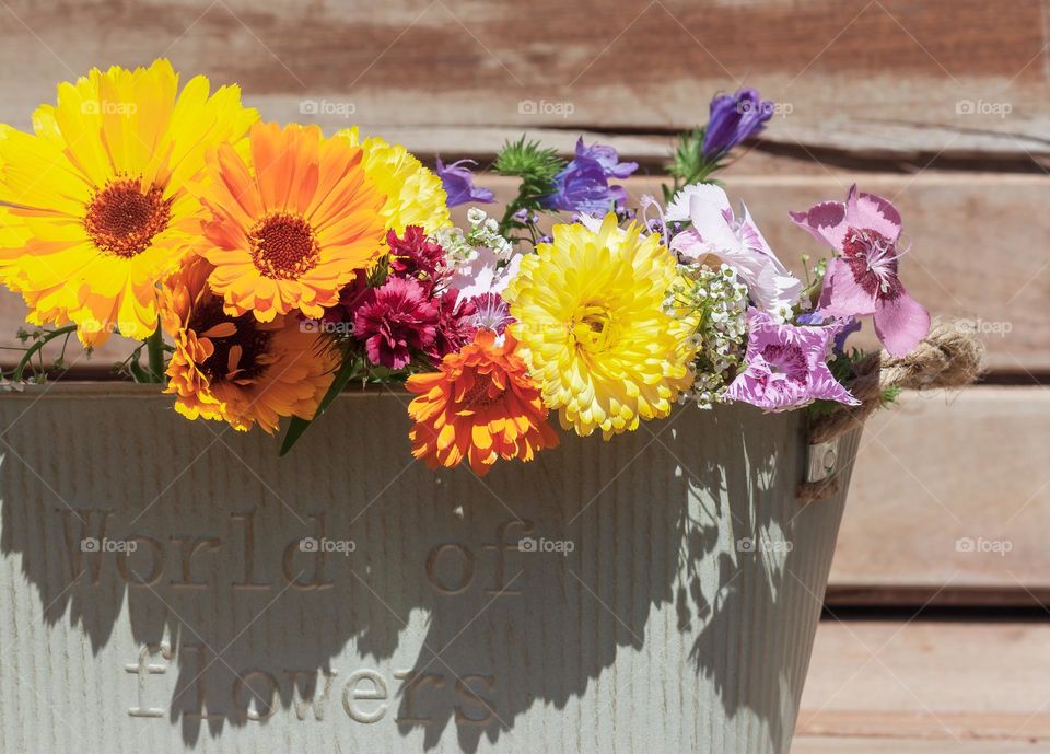 Brightly coloured, common garden blooms collected in a rustic metal bucket