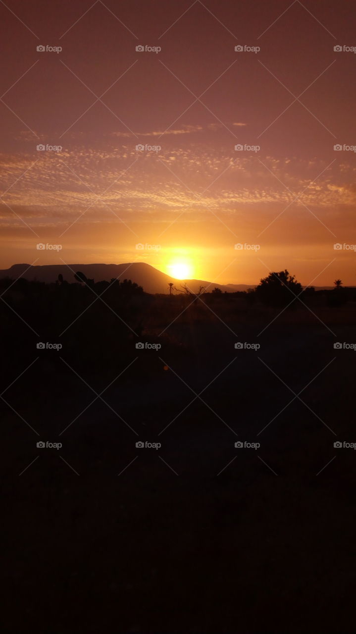 Scenic view of a sunset