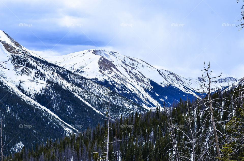 Berthoud Pass Colorado