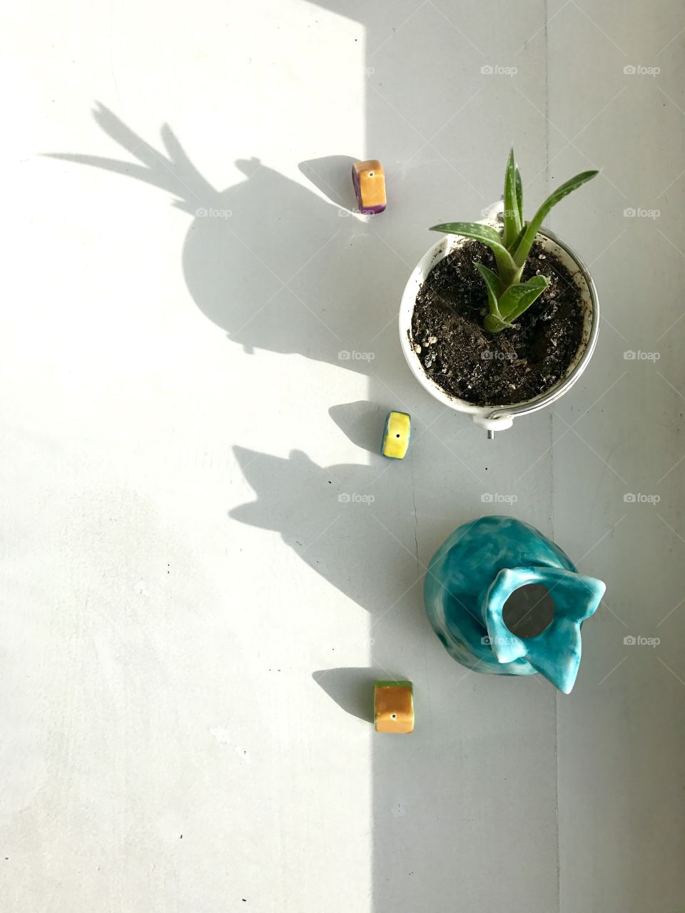 High angle view of flower pot and plant