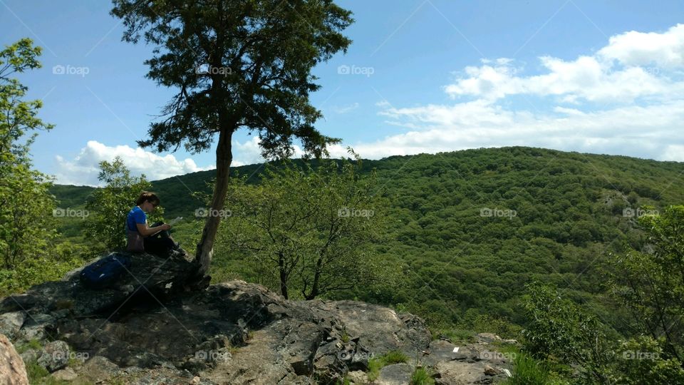 under a tree