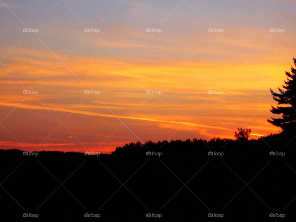 Had to stop and capture this lovely view