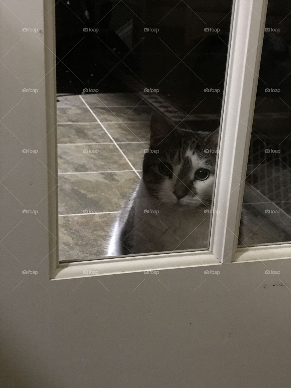 Please let me in?
