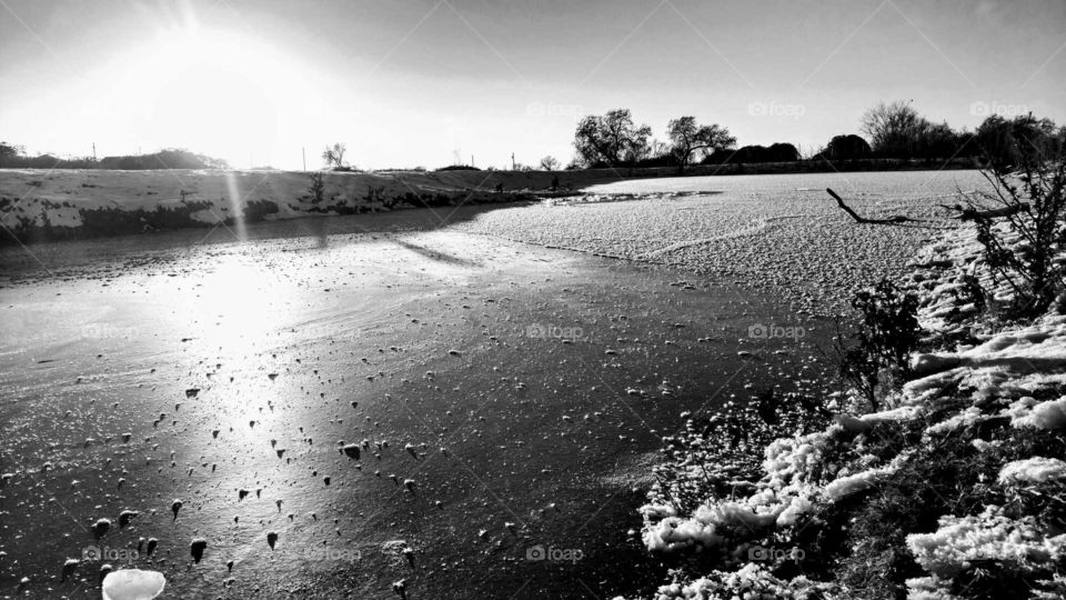 frozen pond that I haven't seen in some time