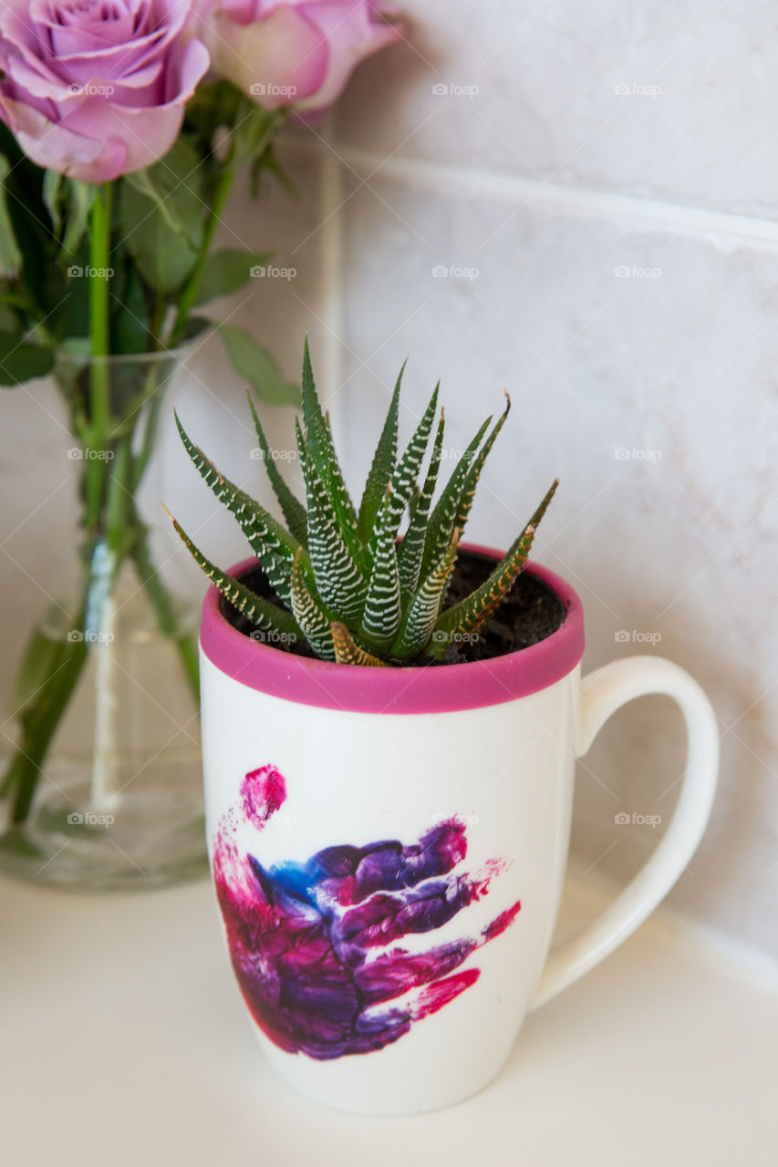 Mini green succulent in pink pot inside white mug with child handprint. Close up simple diy home decoration