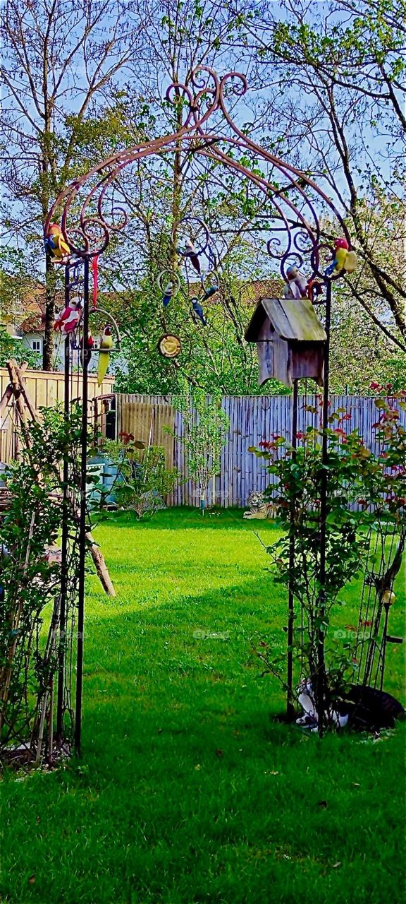 This is the birdhouse attached to a rose arch in a beautiful garden in rural “Bavaria”, Germany that the cats were so eagerly observing for its content and for the bird parents nearby. 2024. Hypnotic Productions