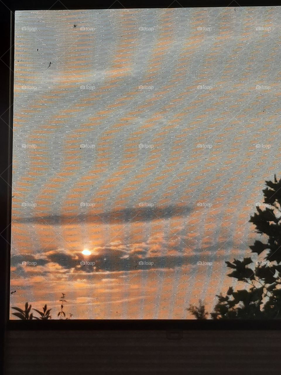 window view of sunrise through mosquito net