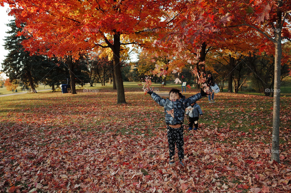 boy playing with leaves