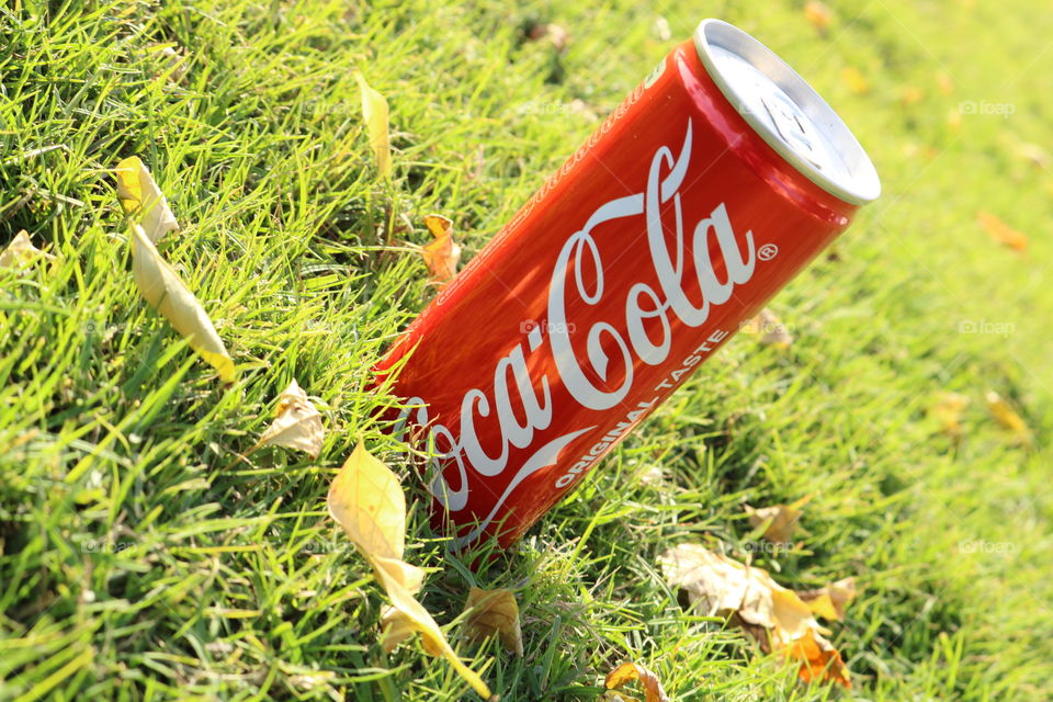 Coca-Cola in the Garden