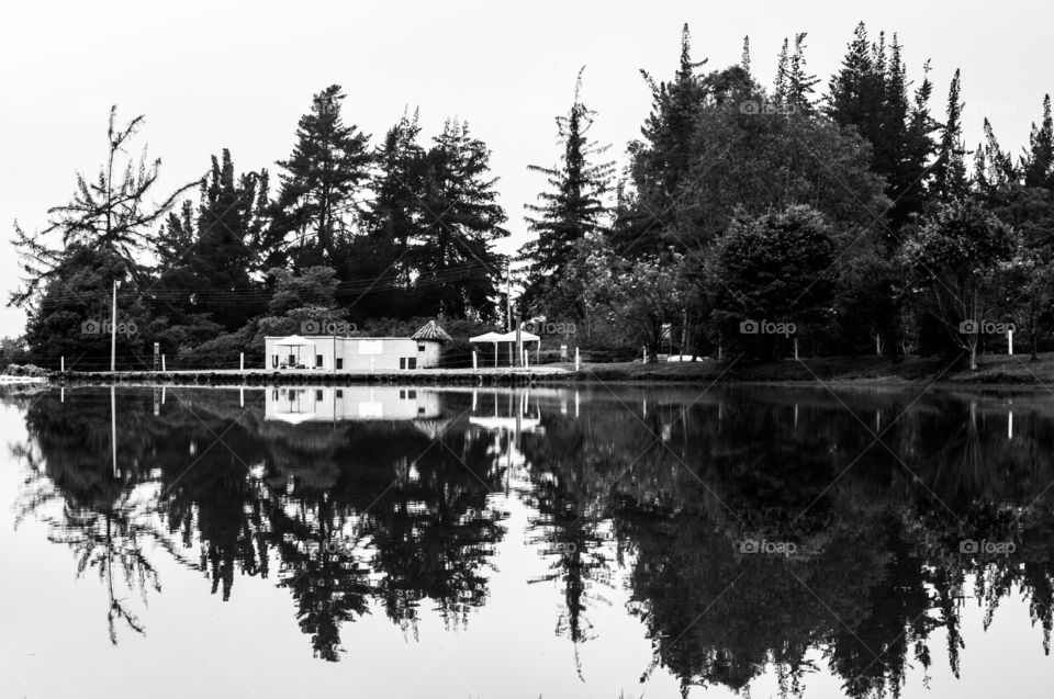 incredible reflections