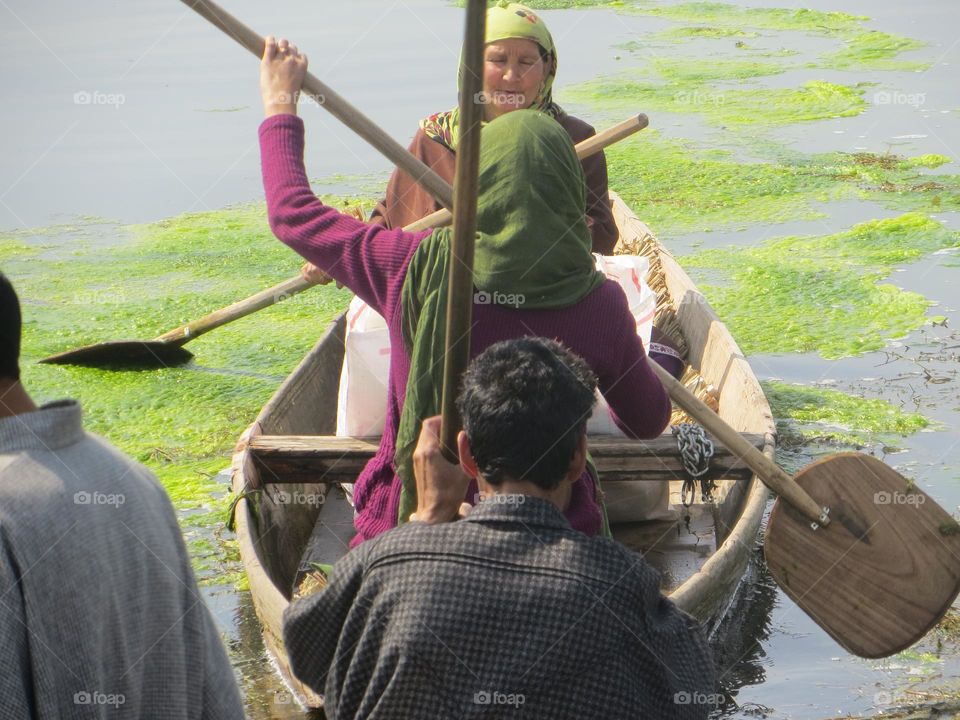 A sunny day in the Dal Lake area of Kashmir