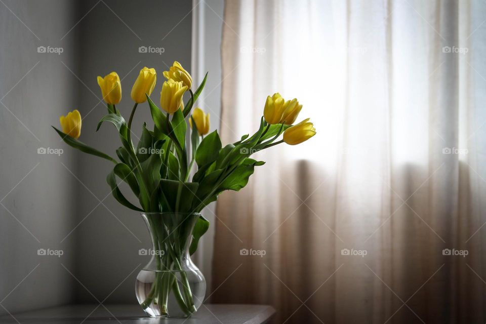 Yellow tulips