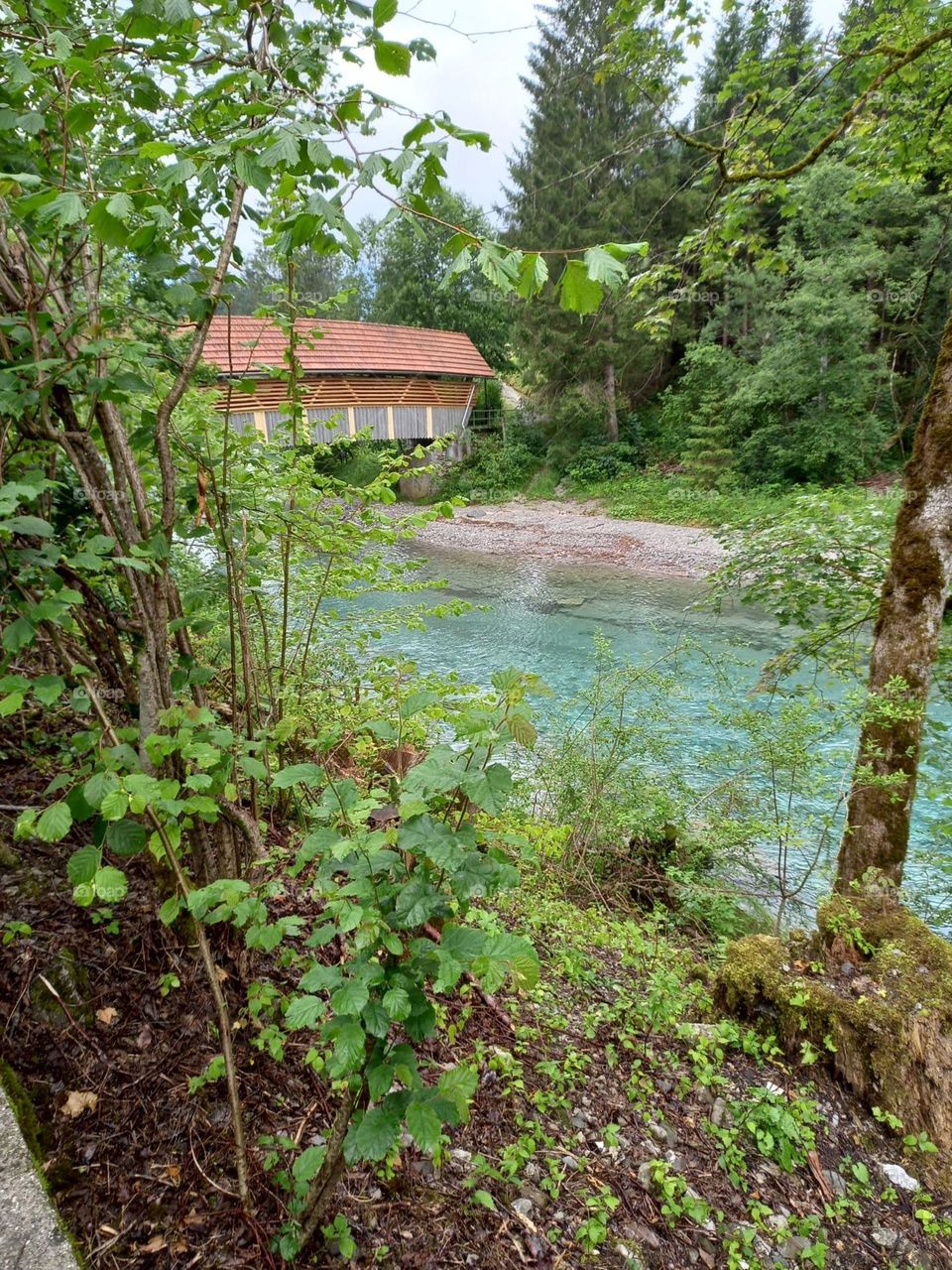 Bridge Over a Mountain River