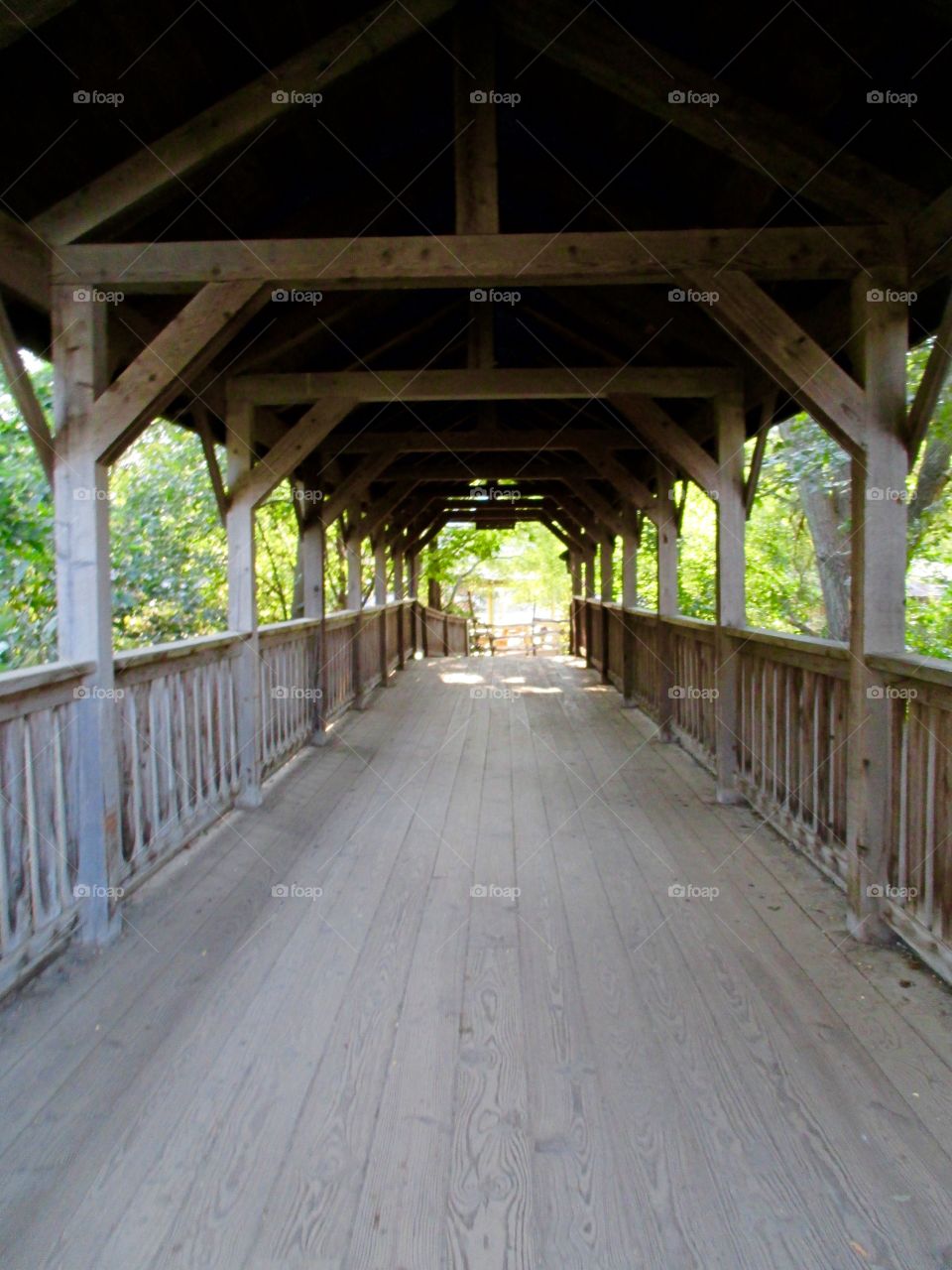 Bridge