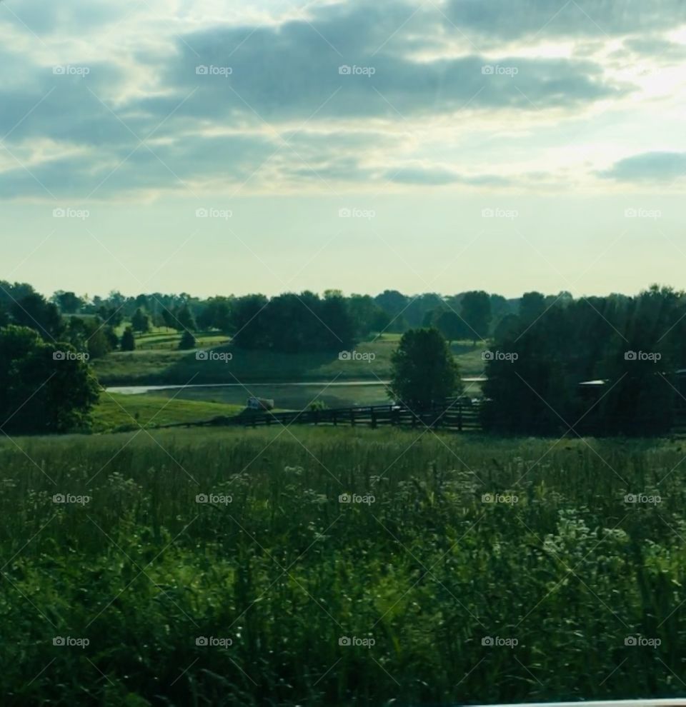 Morning in the Bluegrass