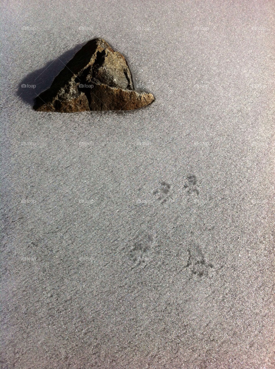 snow winter white cold by stephen