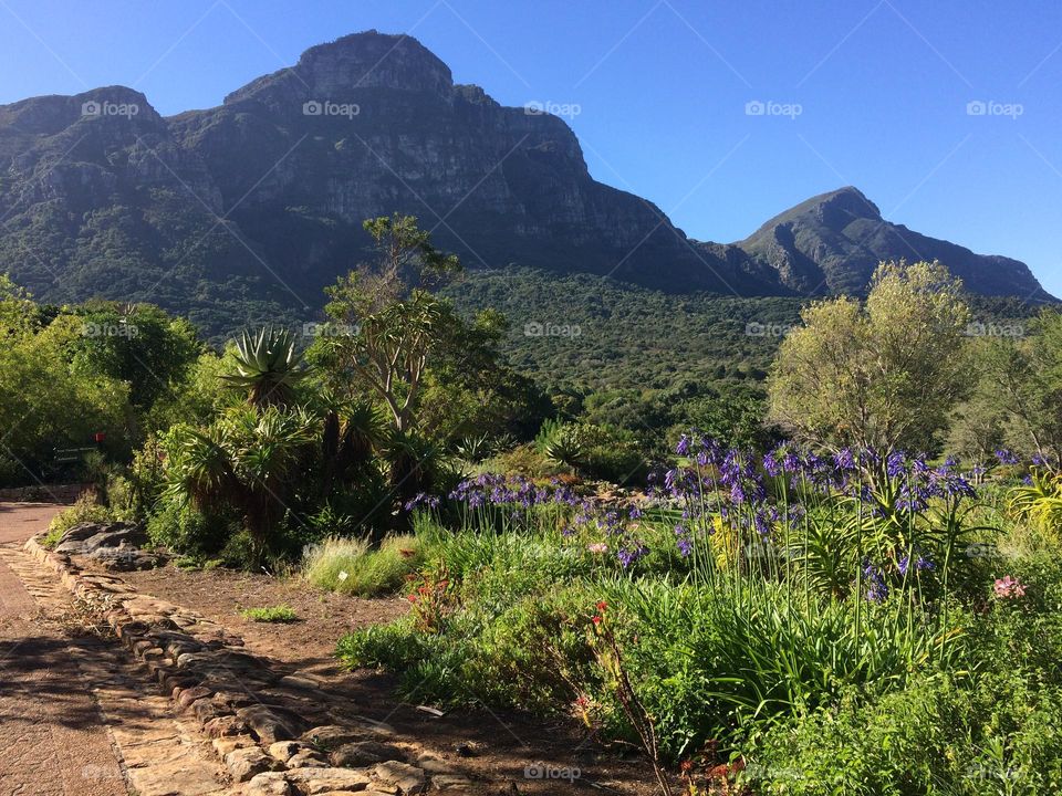 Park view with a beautiful nature during summer