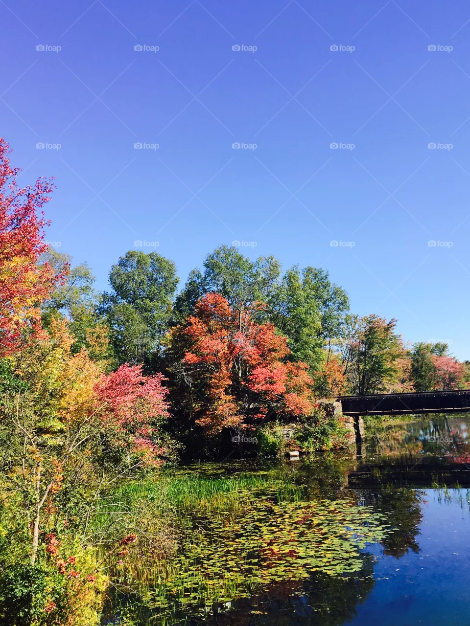 Autumn 