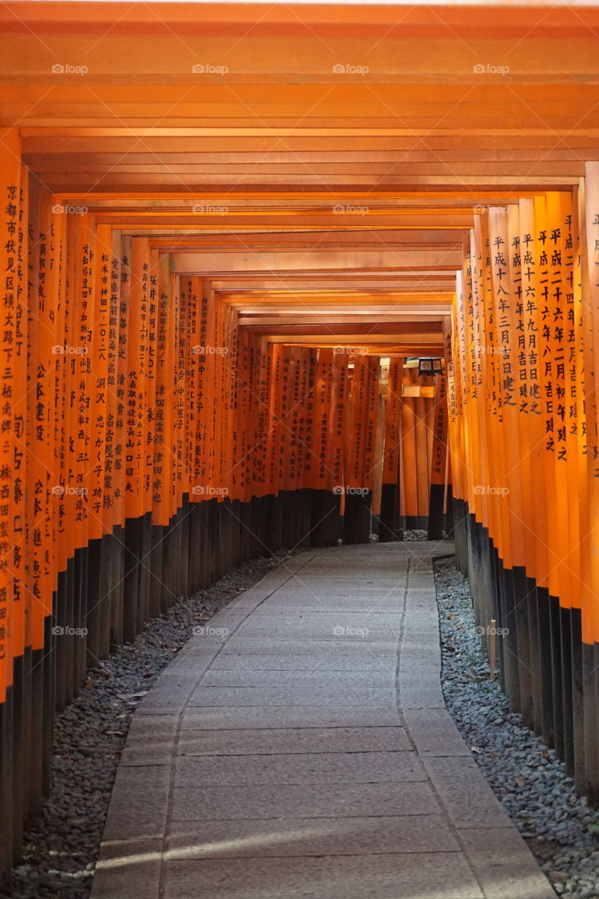 Tori gates at the Fushimi inari Shrine 