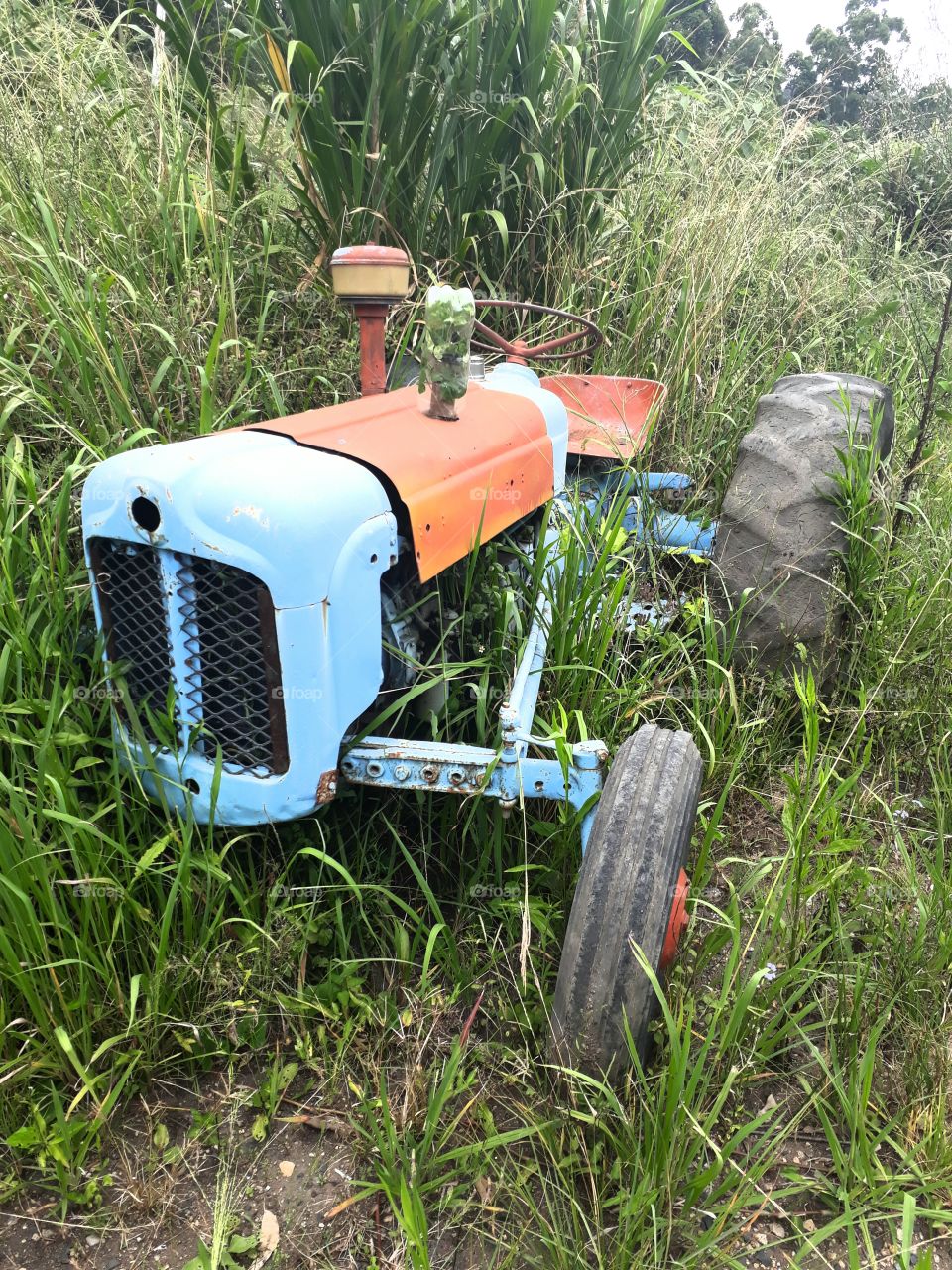 Old Tractor