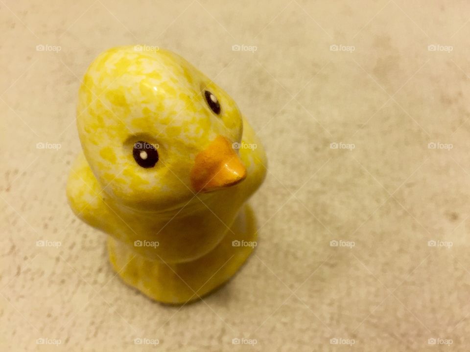 My duck 