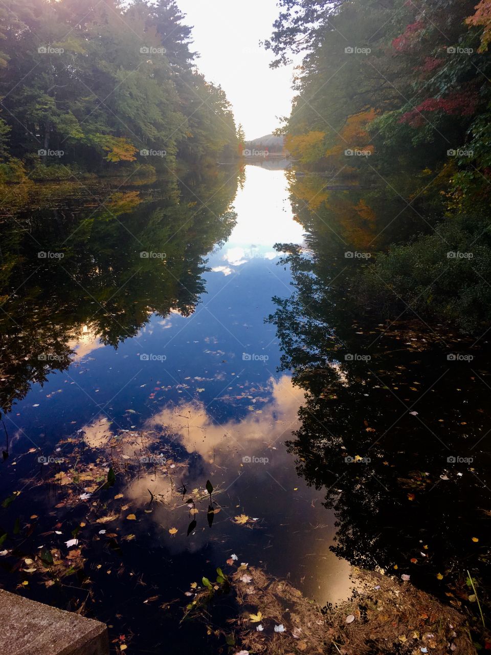 Reflection Jackson Falls 
